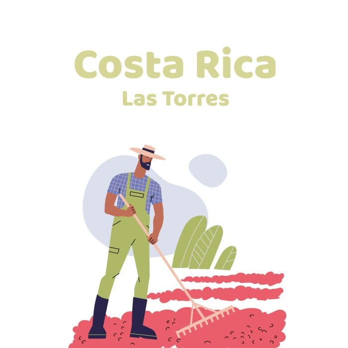 Costa Rica Las Torres Anaerobic - Görsel 1