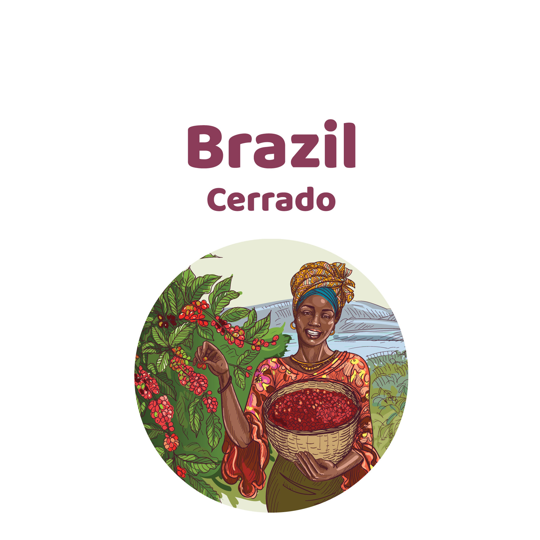brazil-cerrado Brazil Cerrado - Görsel 1